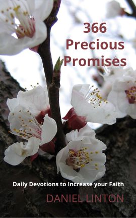 366 Precious Promises